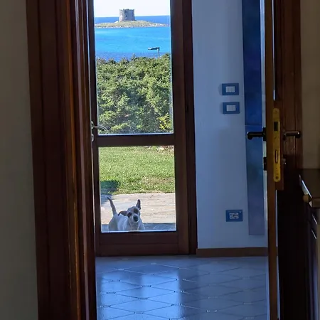 Gino Appartamento