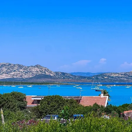 Gino * Стинтино