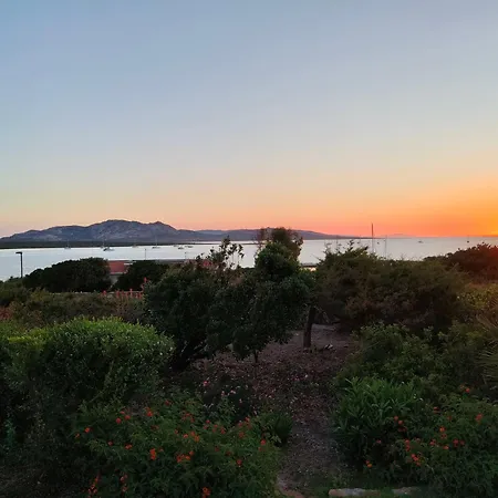 Gino Стинтино