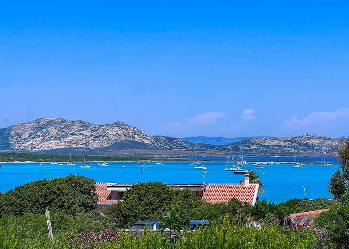 Gino * Стинтино