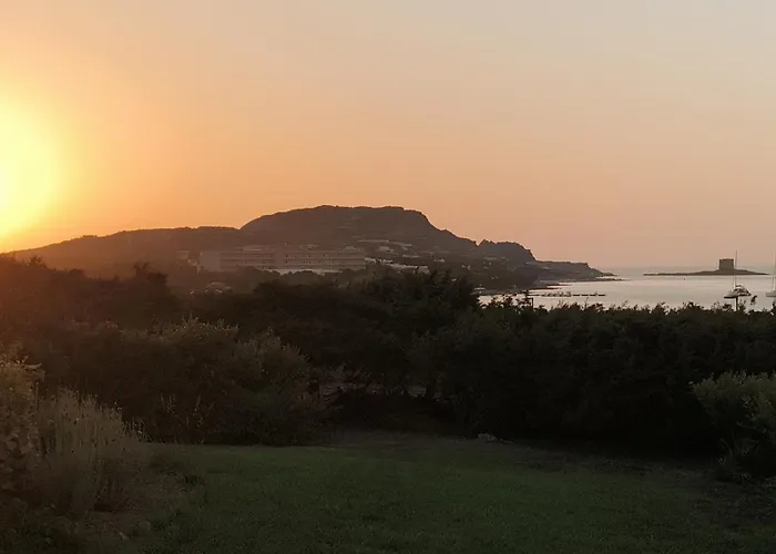 Gino * Стинтино