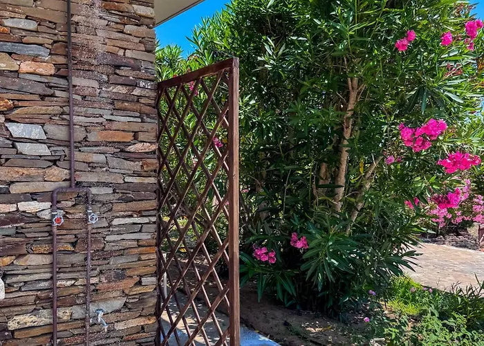 Gino Стинтино