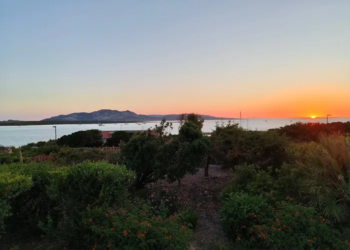 Gino Стинтино